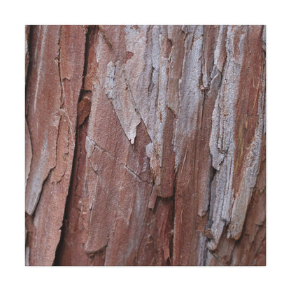 Peeling Paint - Unique Frameless Canvas Wall Art - Art By Earth