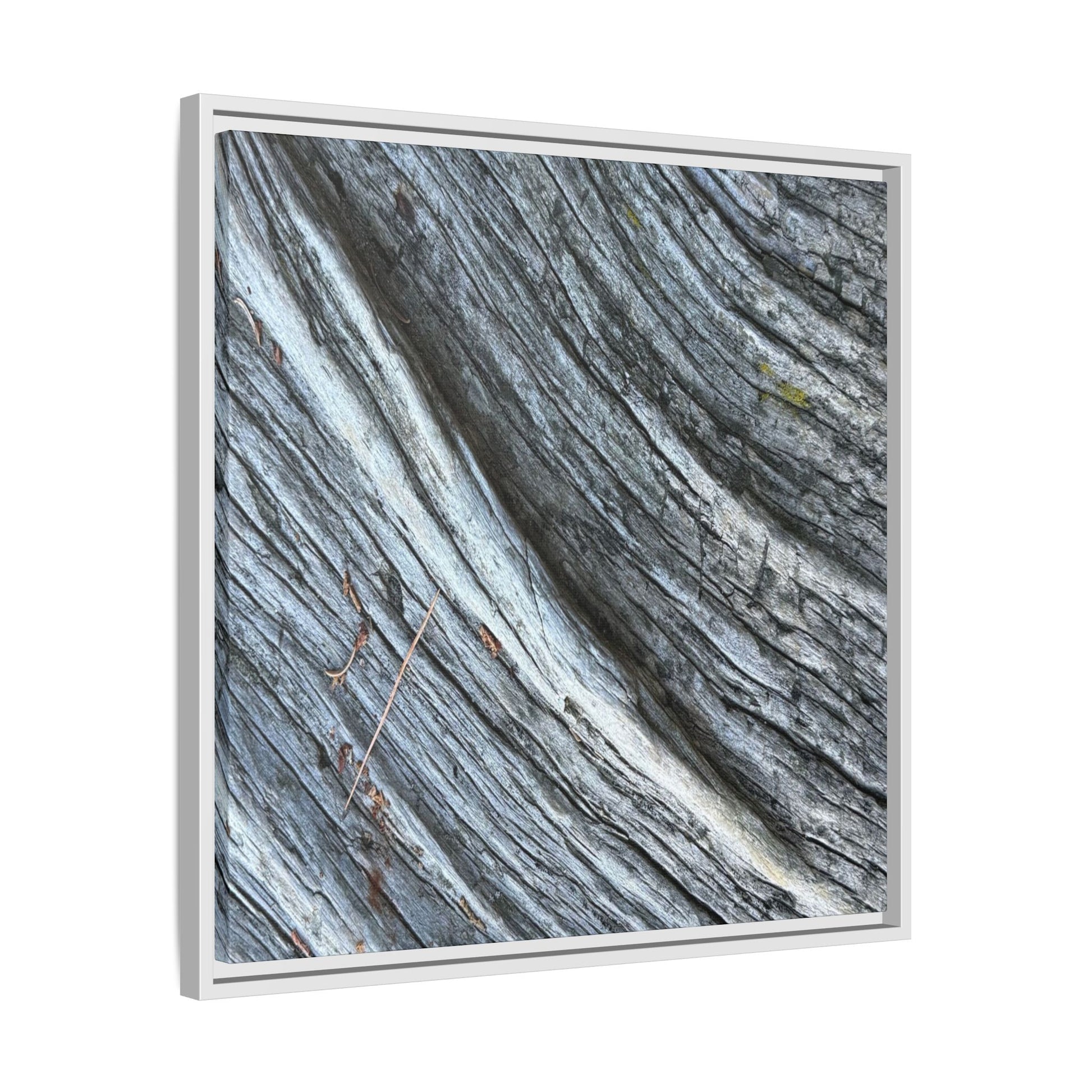 Time's Carved Path - Unique Stretched Canvas Wall Art - Art By Earth