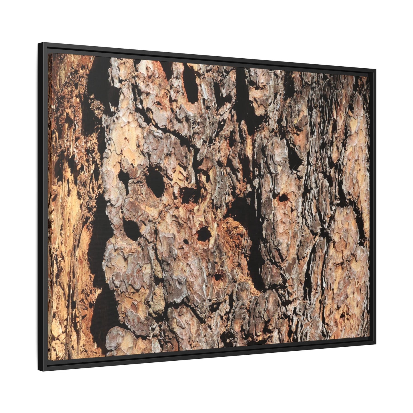 Rugged Rhythms - Unique Stretched Canvas Wall Art - Art By Earth