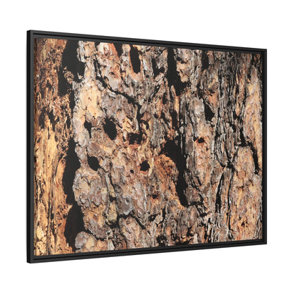 Rugged Rhythms - Unique Stretched Canvas Wall Art - Art By Earth