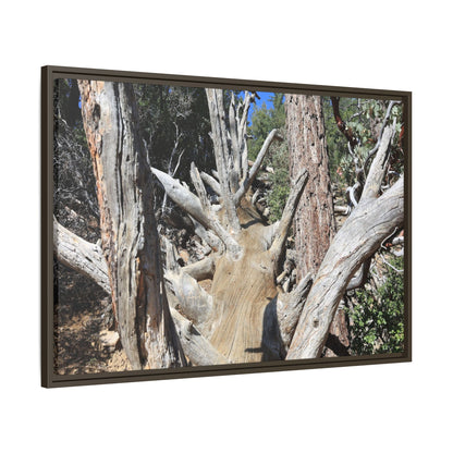 Forest Sentinels - Unique Stretched Canvas Wall Art