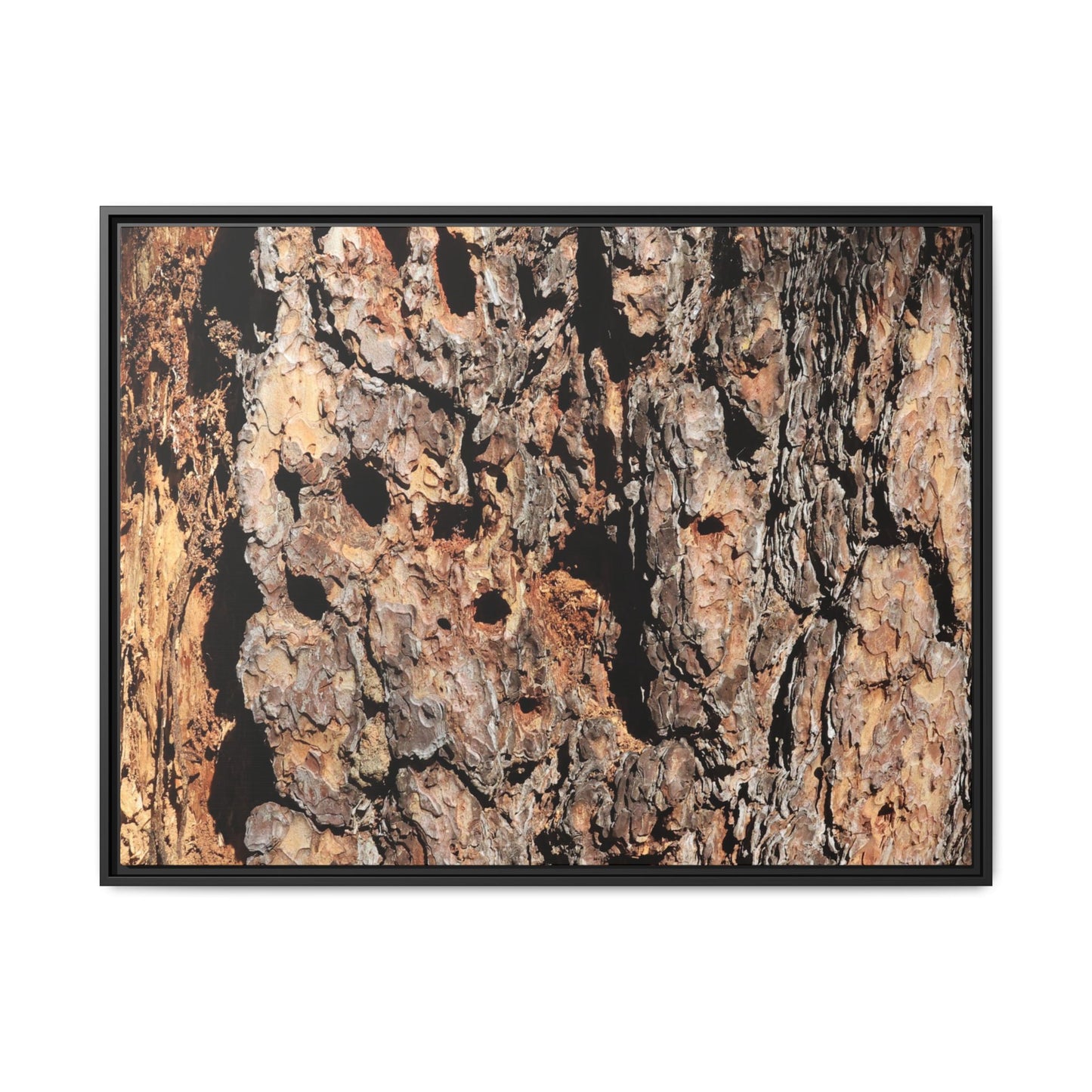 Rugged Rhythms - Unique Stretched Canvas Wall Art - Art By Earth