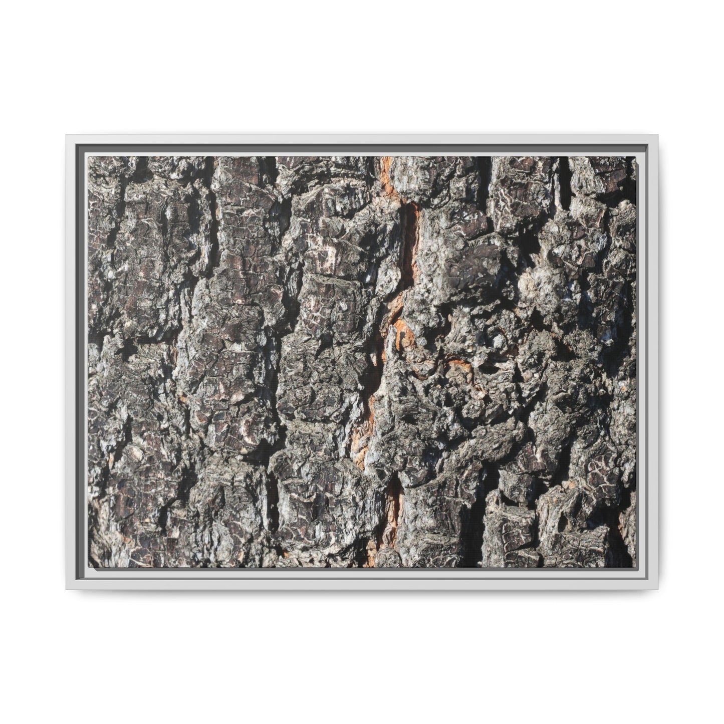 Aged Beauty - Unique Stretched Canvas Wall Art - Art By Earth