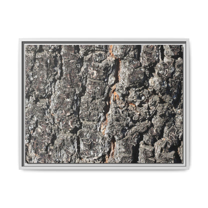 Aged Beauty - Unique Stretched Canvas Wall Art - Art By Earth