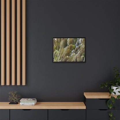 Moss Symphony - Unique Stretched Canvas Wall Art