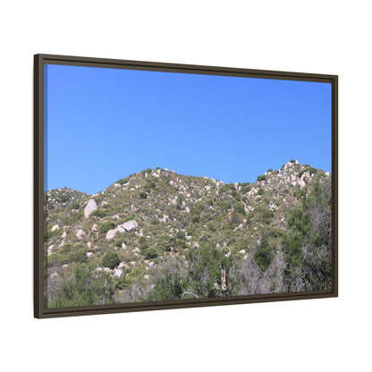 Sparse Vegetation - Unique Stretched Canvas Wall Art