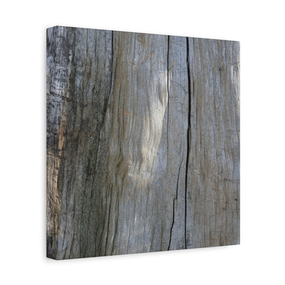 Time's Carved Patterns - Unique Frameless Canvas Wall Art