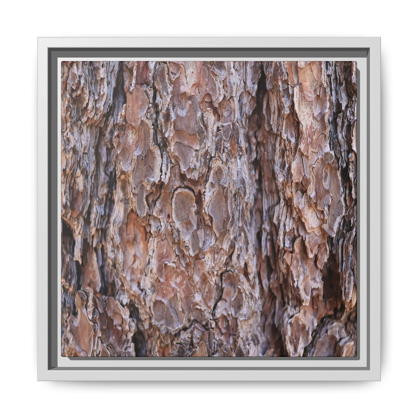 Woody Layers - Unique Stretched Canvas Wall Art - Art By Earth