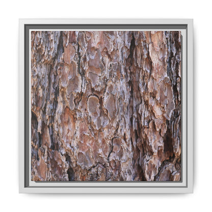 Woody Layers - Unique Stretched Canvas Wall Art - Art By Earth