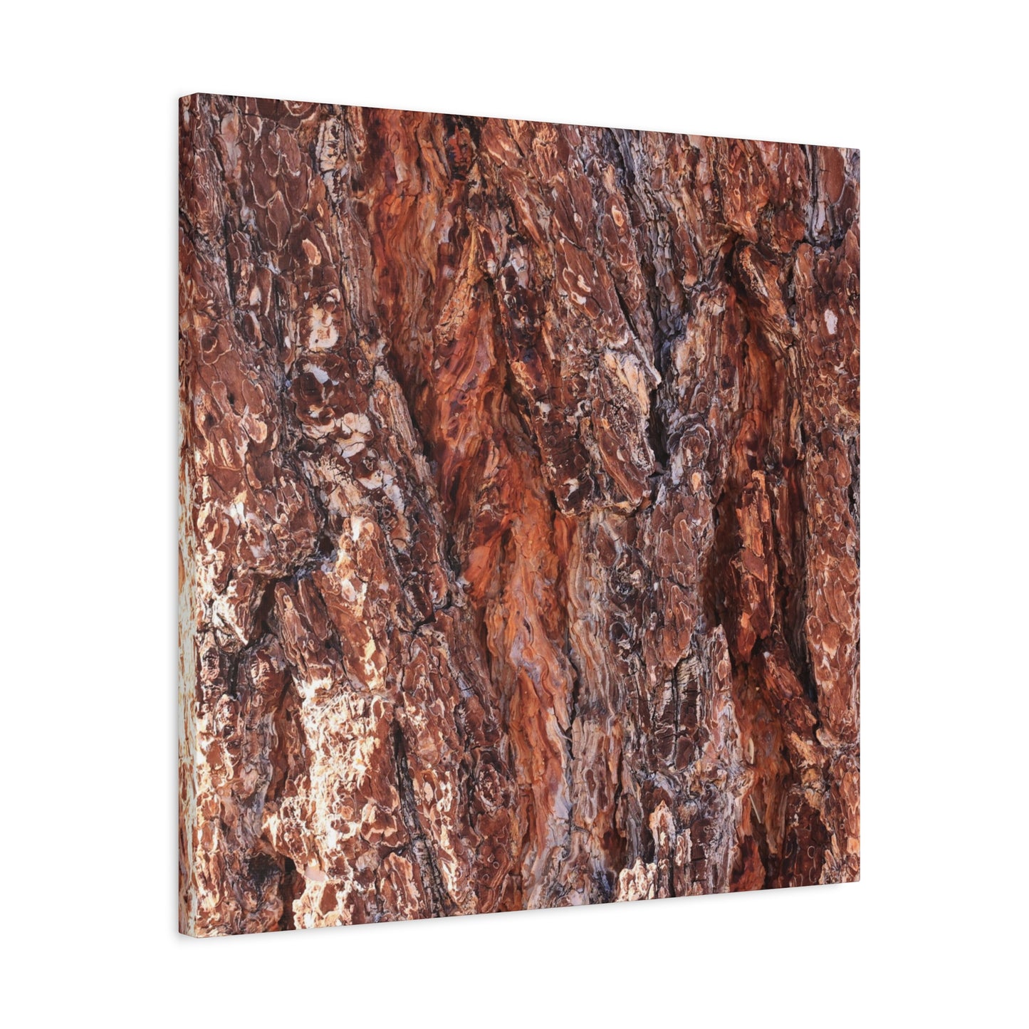 Rust and Ridges - Unique Frameless Canvas Wall Art