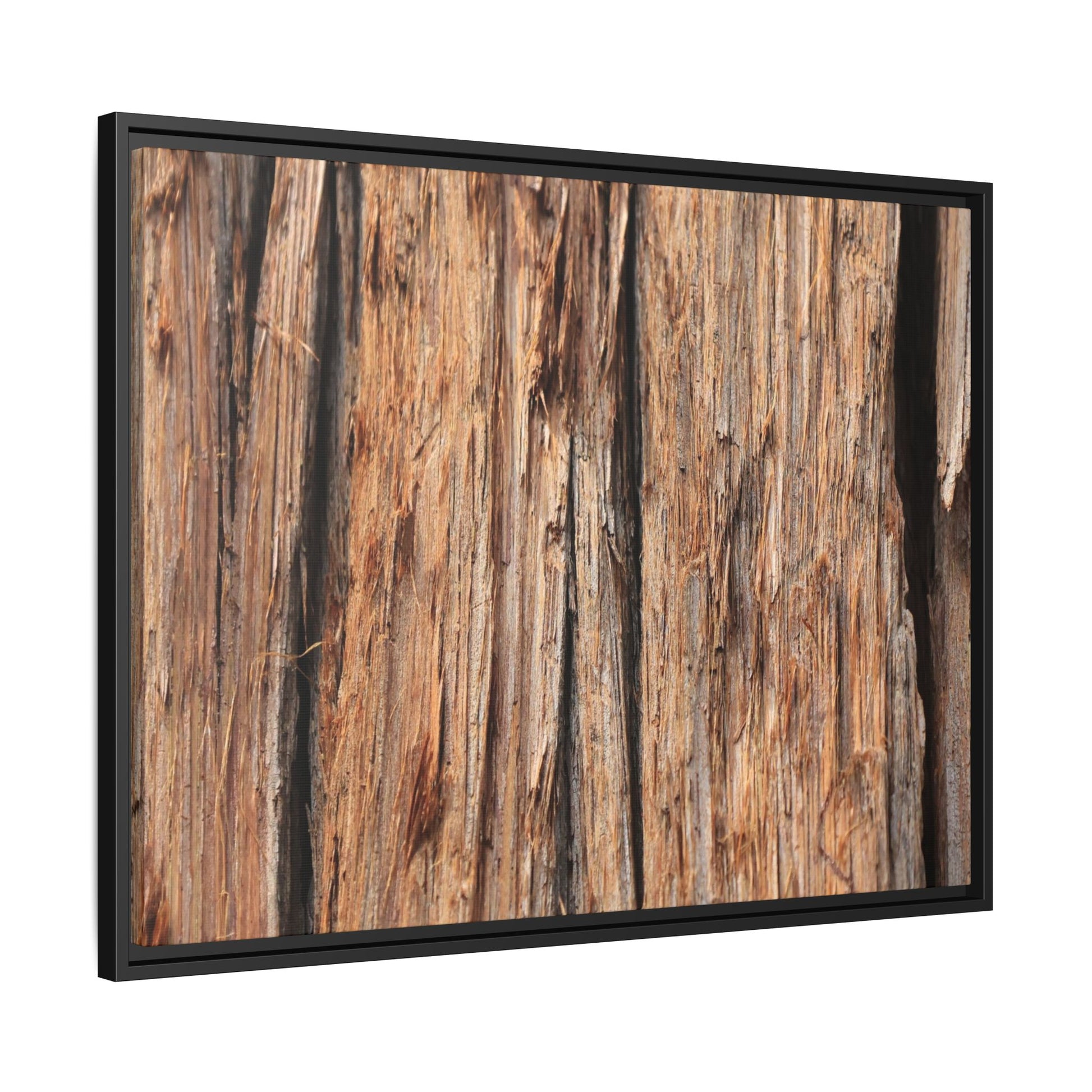 Timber Echoes - Unique Stretched Canvas Wall Art - Art By Earth