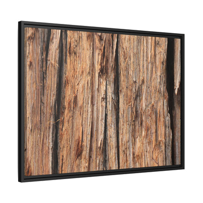Timber Echoes - Unique Stretched Canvas Wall Art - Art By Earth