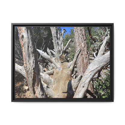 Forest Sentinels - Unique Stretched Canvas Wall Art