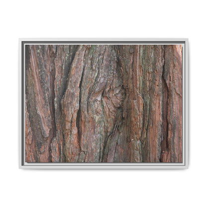 Rugged Textures - Unique Stretched Canvas Wall Art - Art By Earth