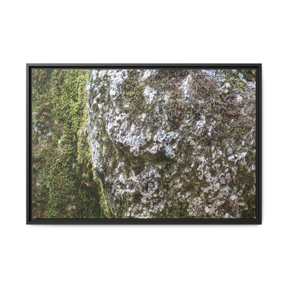 Lichen Landscape - Unique Stretched Canvas Wall Art - Art By Earth