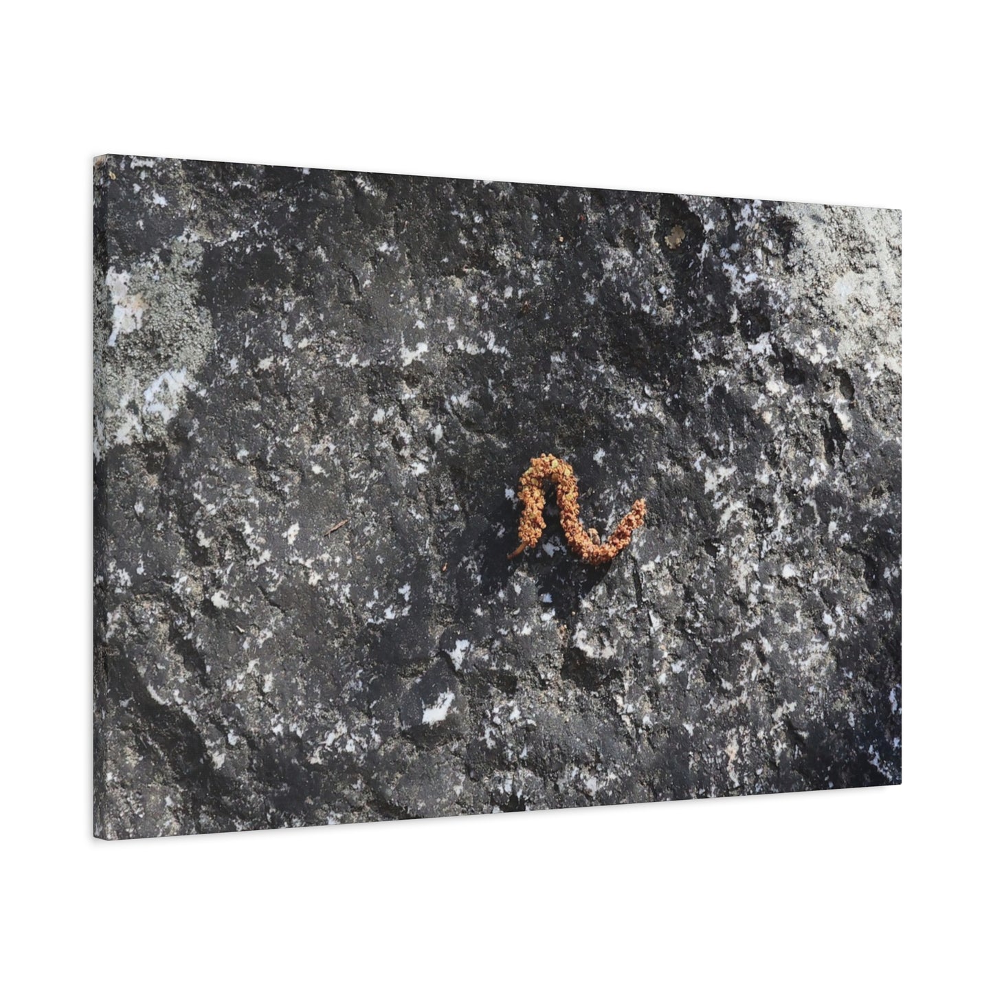 Earthen Serpent - Unique Frameless Canvas Wall Art - Art By Earth