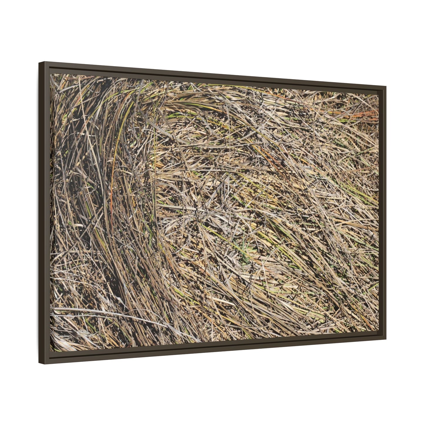 Tangled Grass Symphony - Unique Stretched Canvas Wall Art - Art By Earth