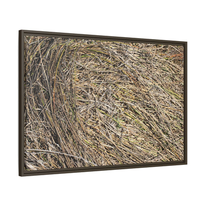 Tangled Grass Symphony - Unique Stretched Canvas Wall Art - Art By Earth
