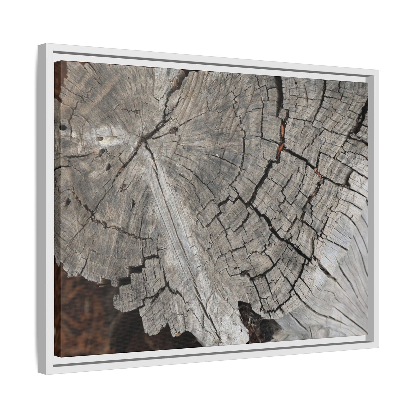 Time's Signature - Unique Stretched Canvas Wall Art - Art By Earth