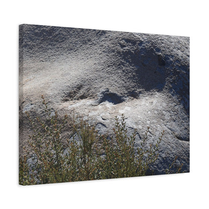 Stone Face in Nature - Unique Frameless Canvas Wall Art