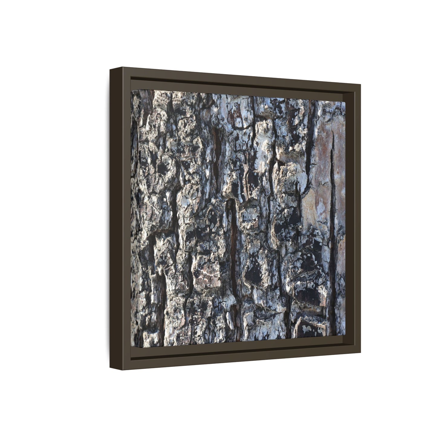 The Bark Chronicles - Unique Stretched Canvas Wall Art - Art By Earth