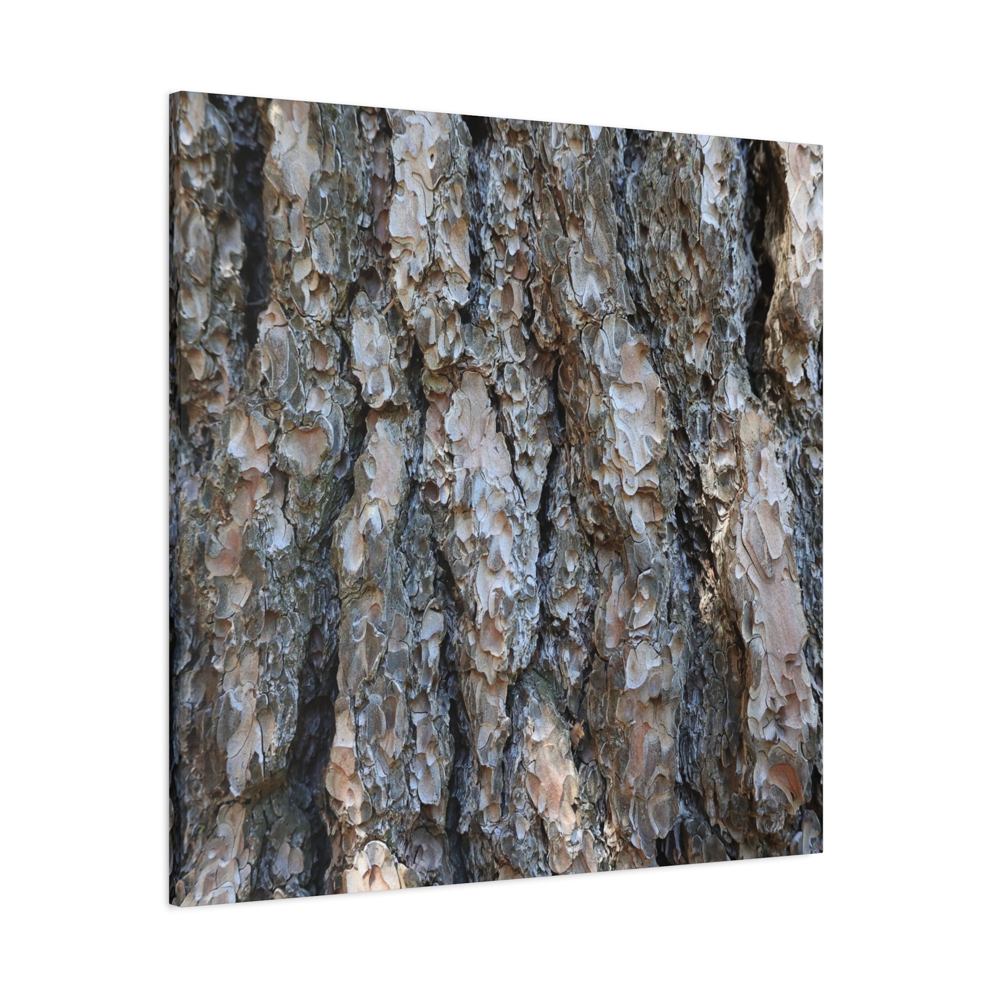 Elemental Tapestry - Unique Frameless Canvas Wall Art - Art By Earth