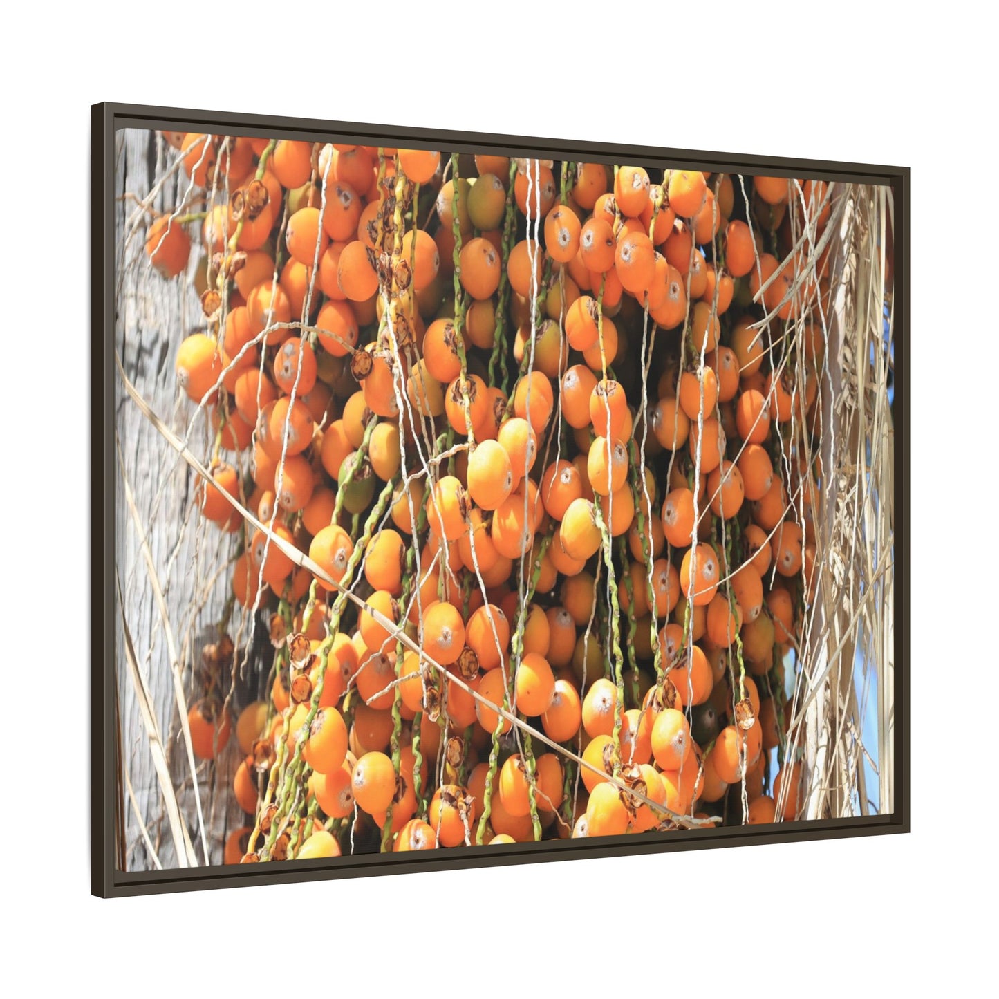 Clusters of Sunlight - Unique Canvas Wall Art - Art By Earth