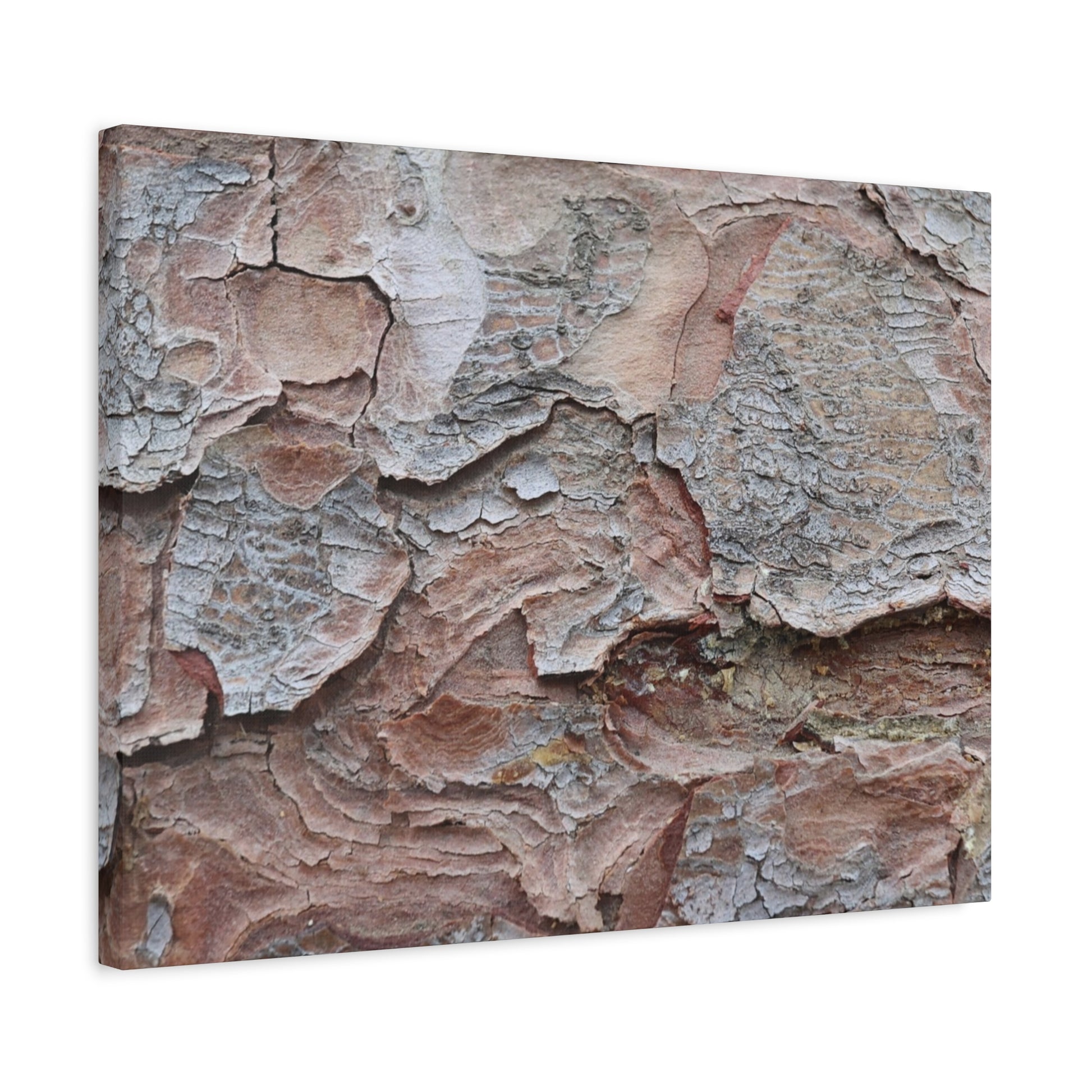 Textural Landscape - Unique Frameless Canvas Wall Art - Art By Earth