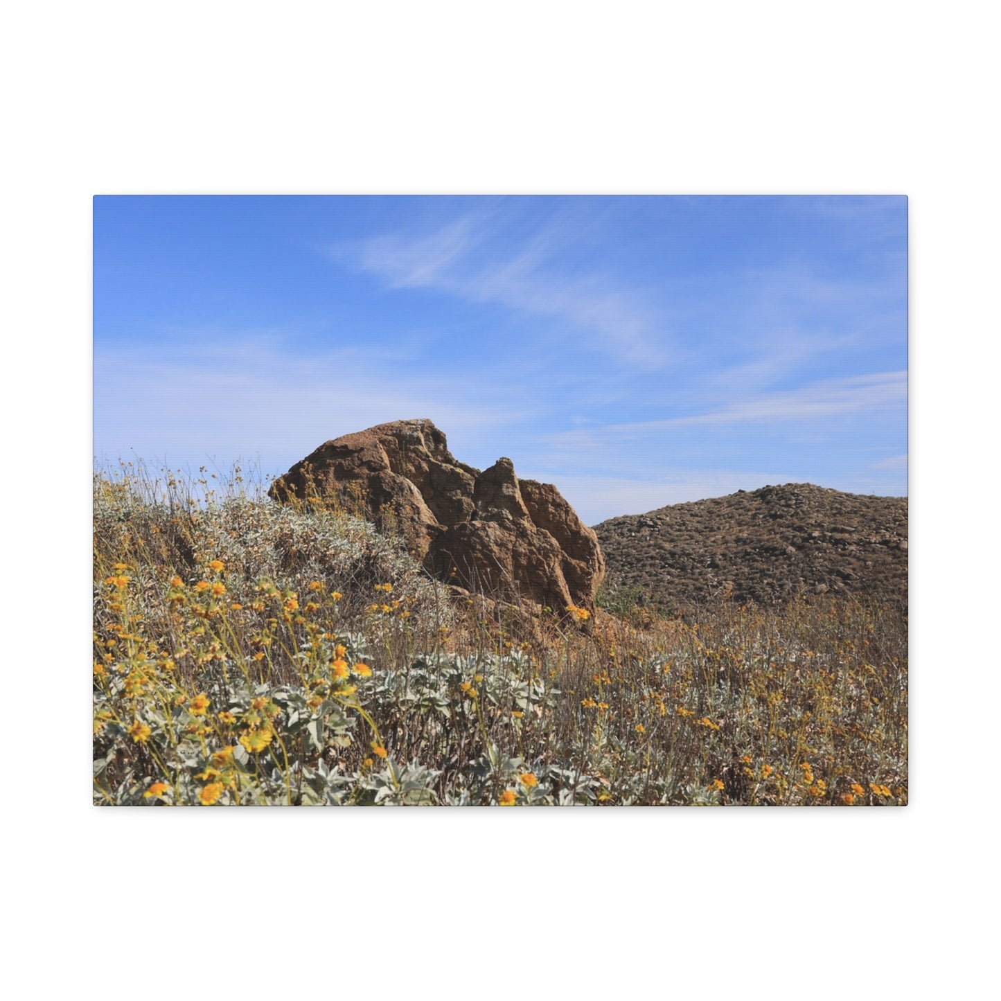 Desert Bloom - Unique Frameless Canvas Wall Art - Art By Earth