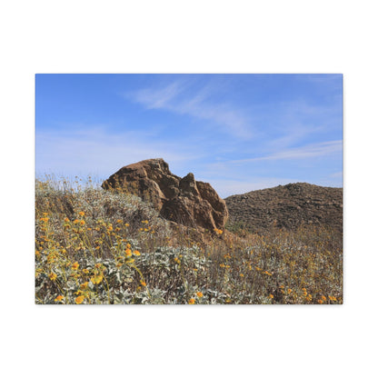Desert Bloom - Unique Frameless Canvas Wall Art - Art By Earth