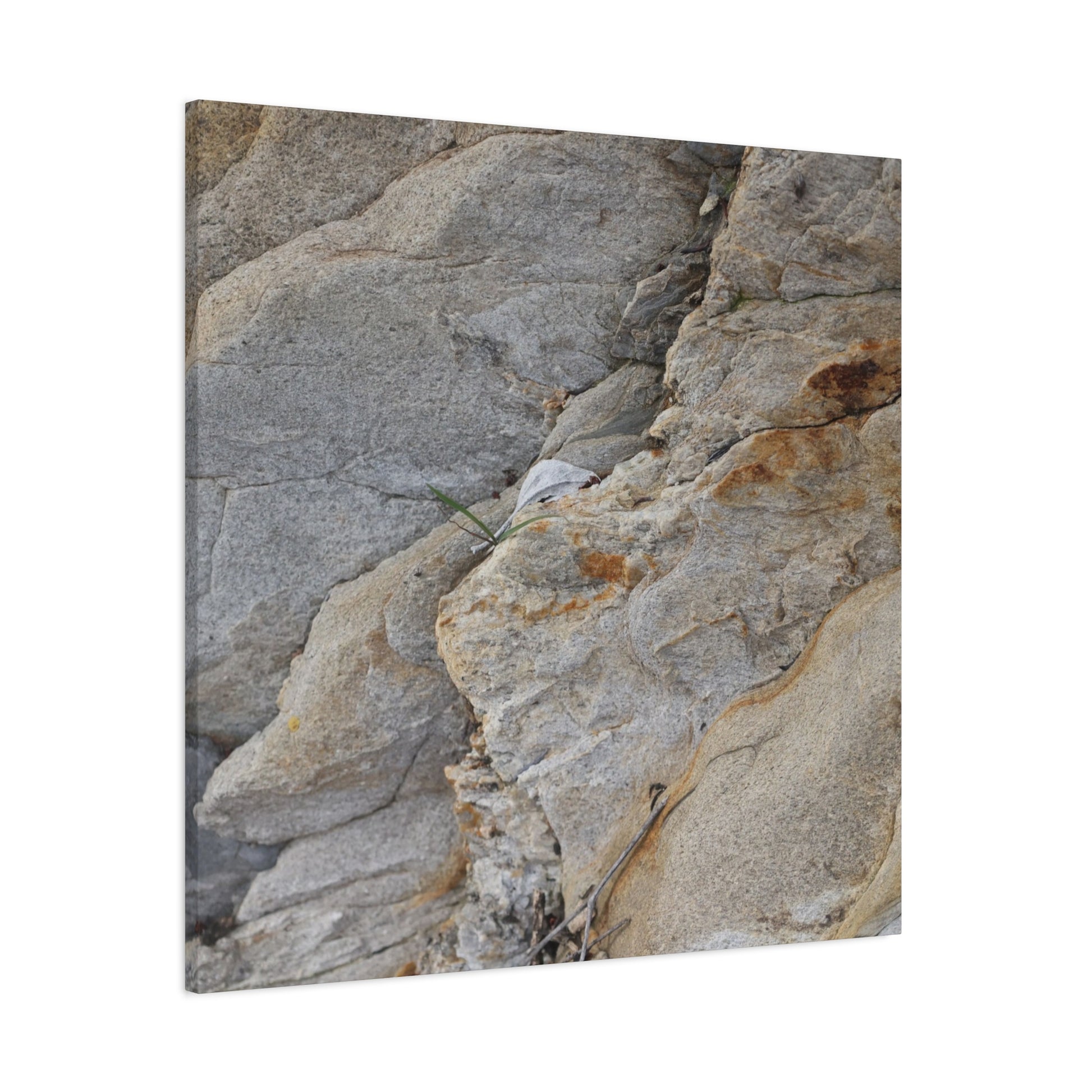 Fractal Earth - Unique Frameless Canvas Wall Art - Art By Earth