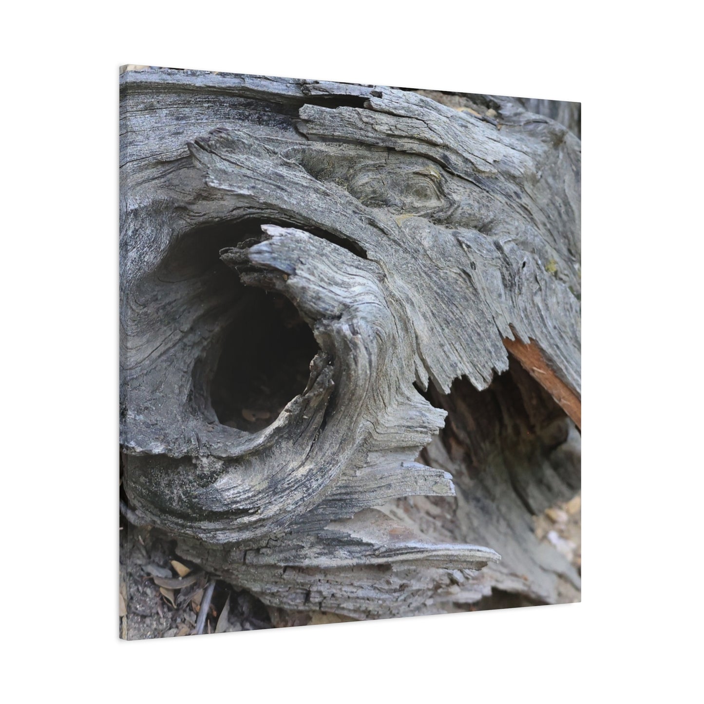 Twisted Whispers of the Forest Floor - Unique Frameless Canvas Wall Art - Art By Earth