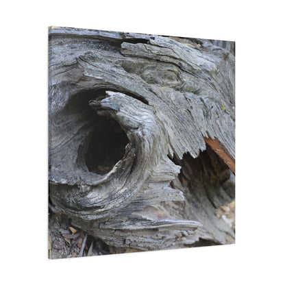 Twisted Whispers of the Forest Floor - Unique Frameless Canvas Wall Art - Art By Earth