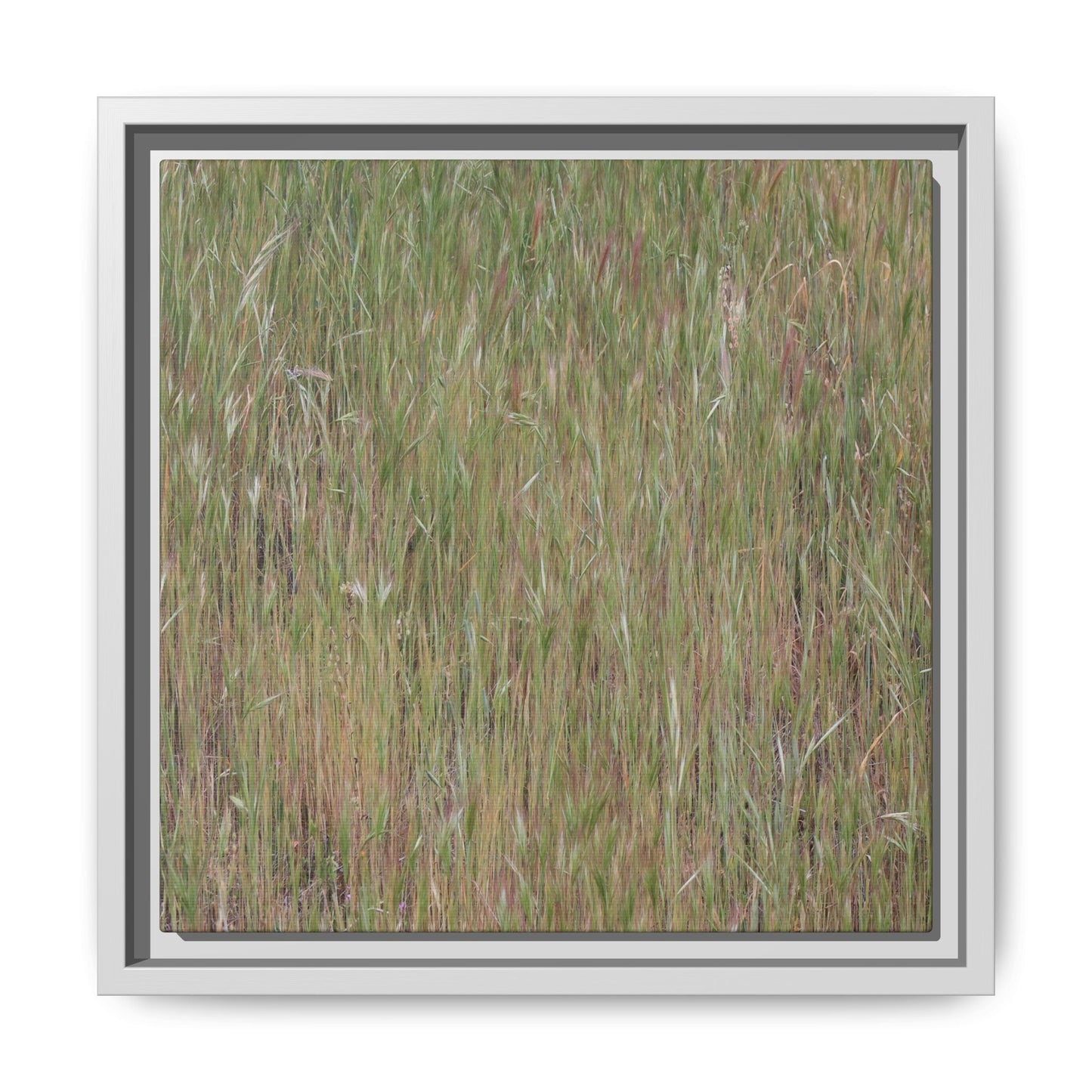 Field of Dreams - Unique Stretched Canvas Wall Art - Art By Earth