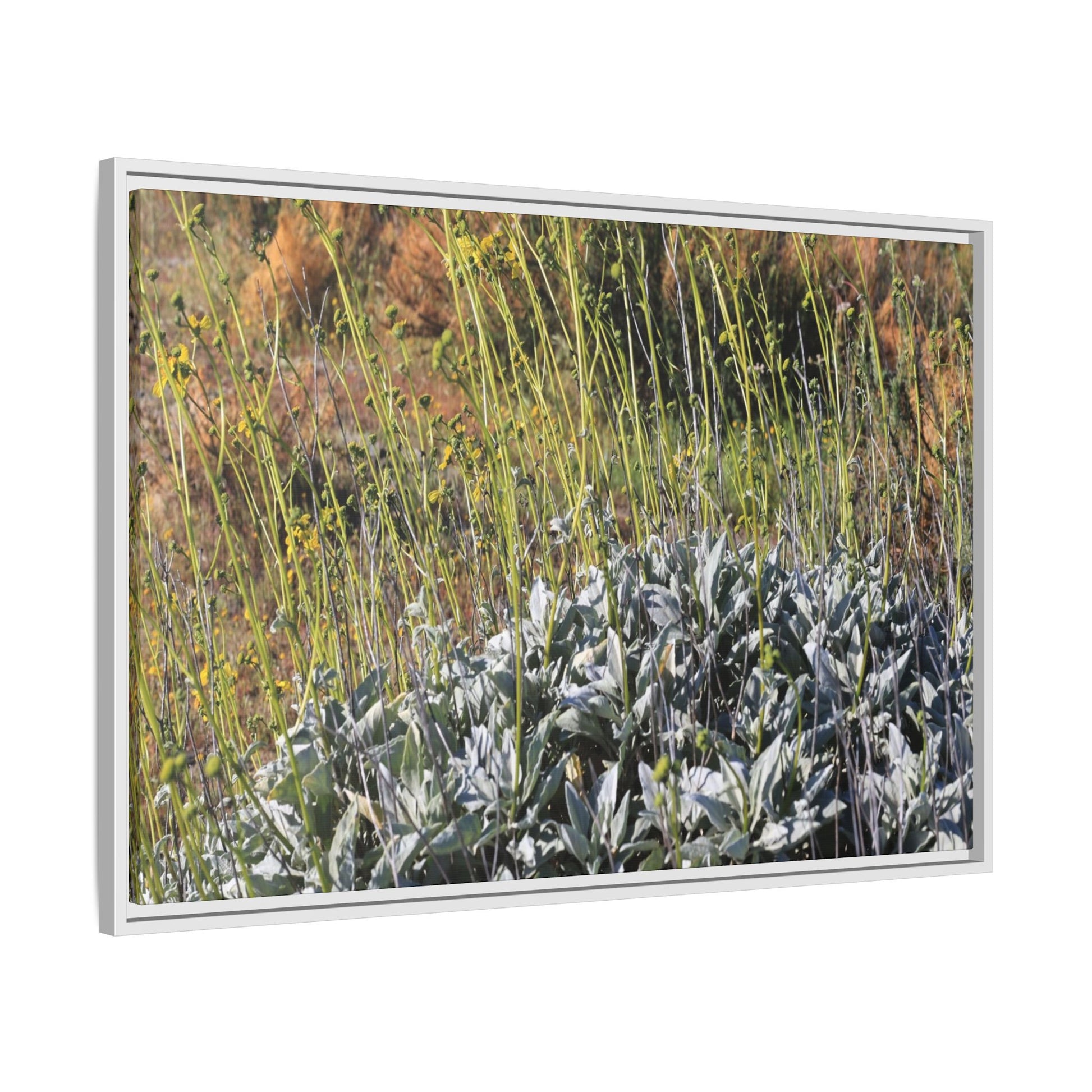 Arid Landscape with Yellow Flowers - Unique Stretched Canvas Wall Art - Art By Earth