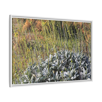 Arid Landscape with Yellow Flowers - Unique Stretched Canvas Wall Art - Art By Earth