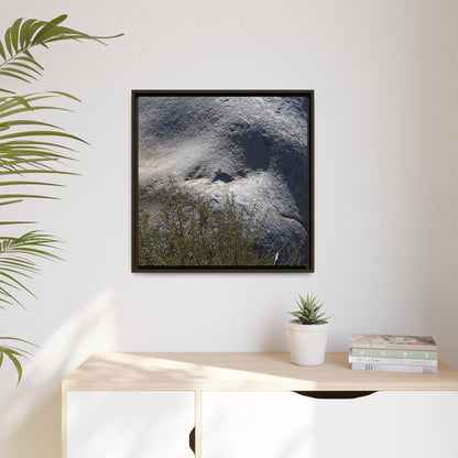Weathered Boulder with Character - Unique Stretched Canvas Wall Art