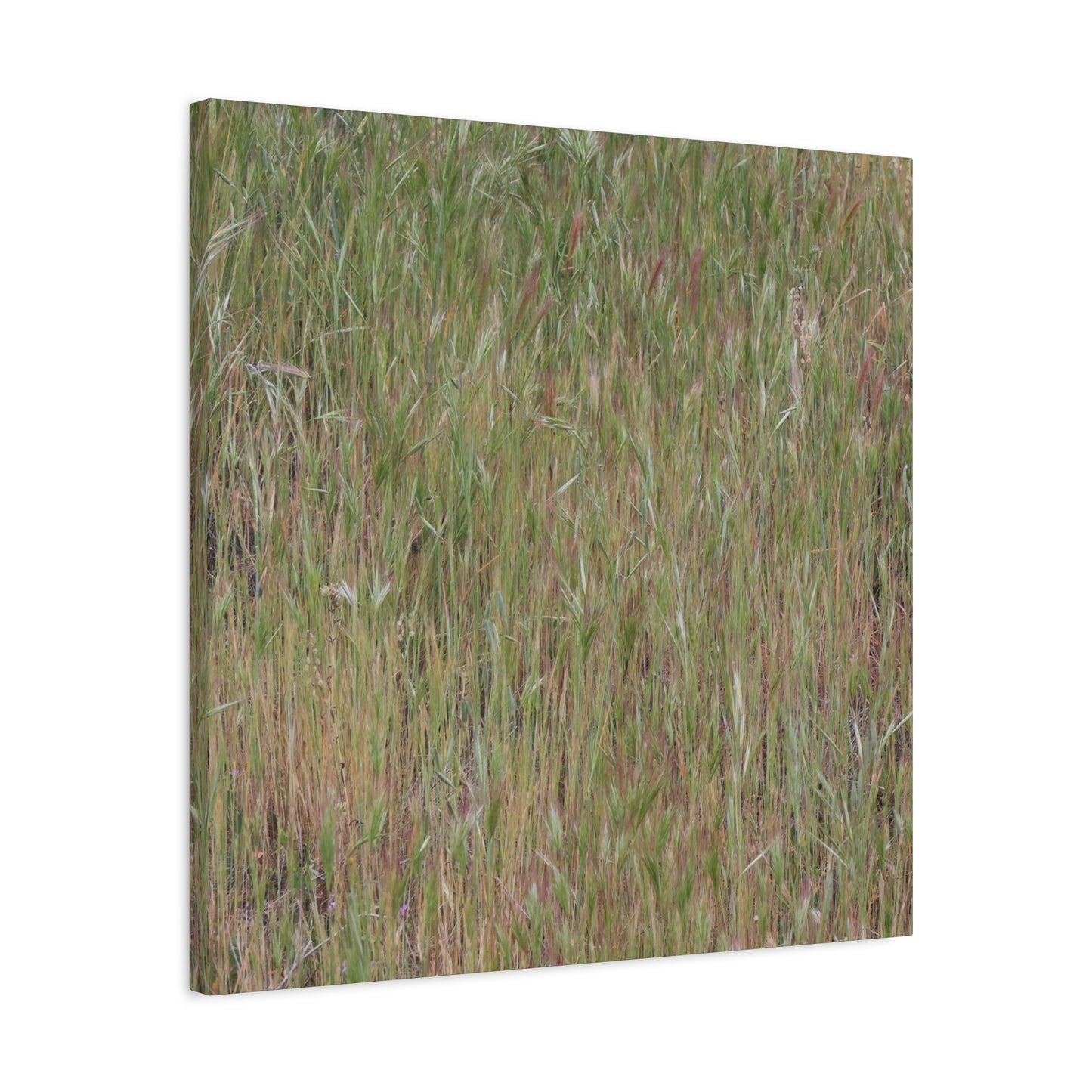 Whispers of the Prairie - Unique Frameless Canvas Wall Art - Art By Earth