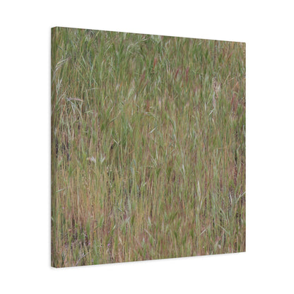 Whispers of the Prairie - Unique Frameless Canvas Wall Art - Art By Earth