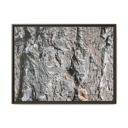 Crusty Exterior - Unique Stretched Canvas Wall Art - Art By Earth