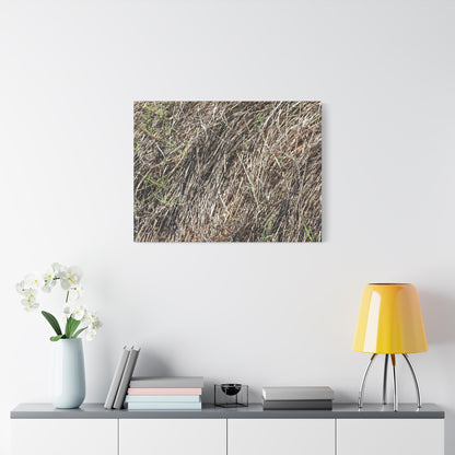 Tangled Wilderness - Unique Stretched Canvas Wall Art - Art By Earth