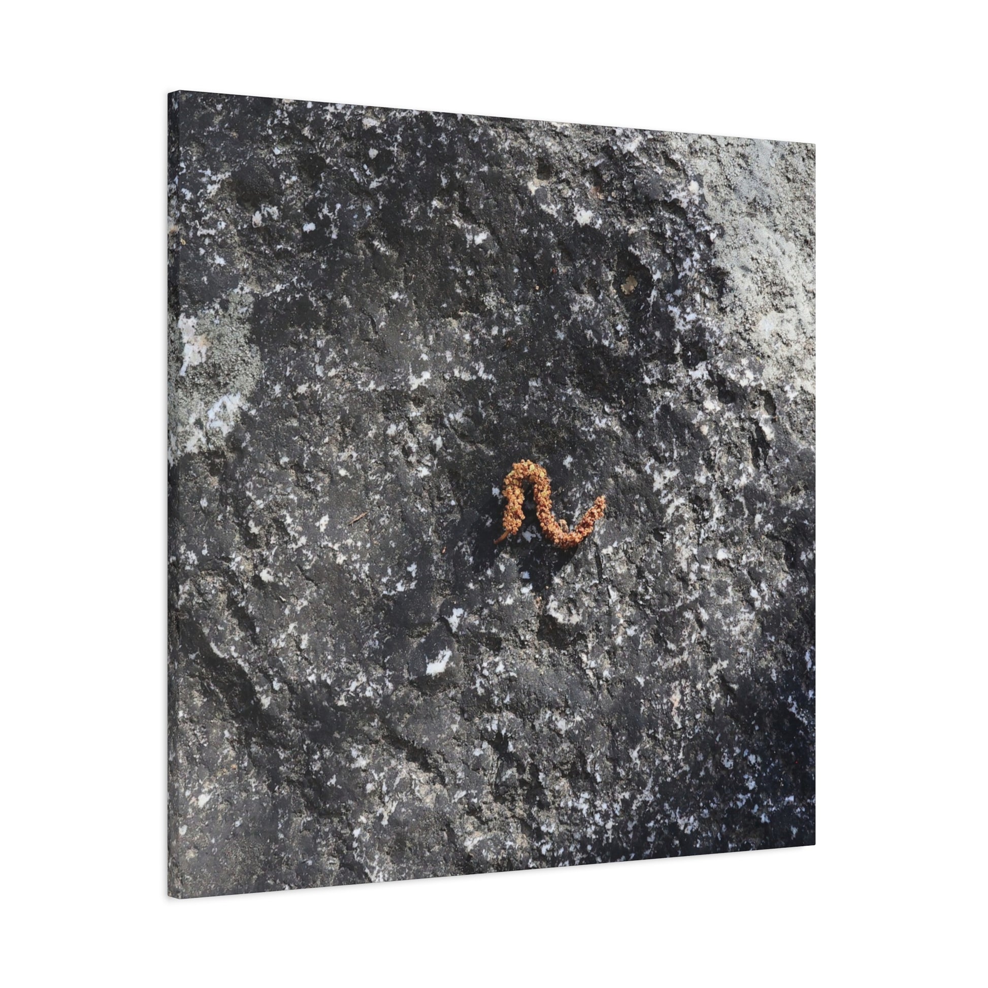 Earthen Serpent - Unique Frameless Canvas Wall Art - Art By Earth