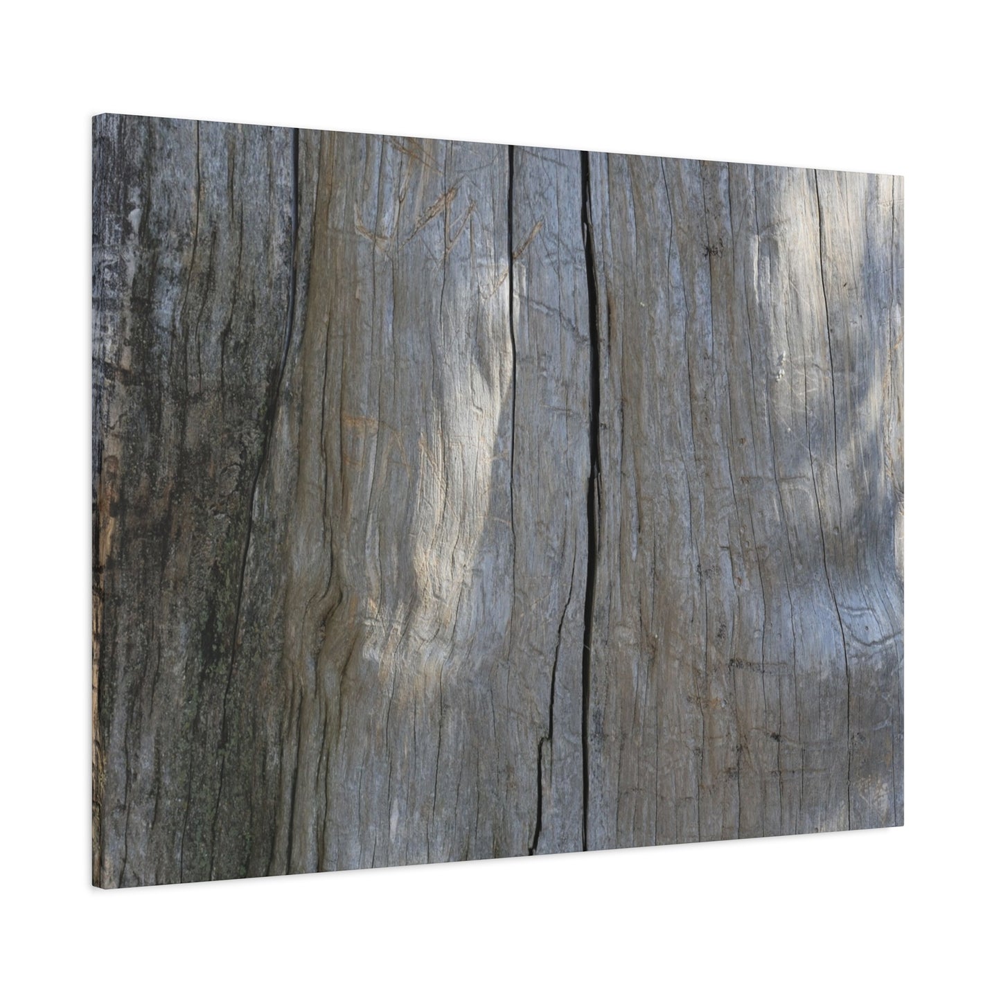 Split Log - Unique Frameless Canvas Wall Art