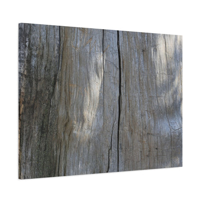 Split Log - Unique Frameless Canvas Wall Art
