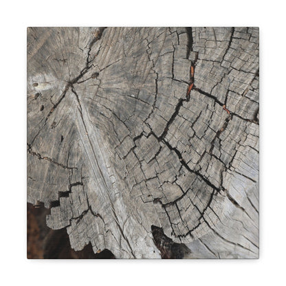 Cracked Memories - Unique Frameless Canvas Wall Art - Art By Earth