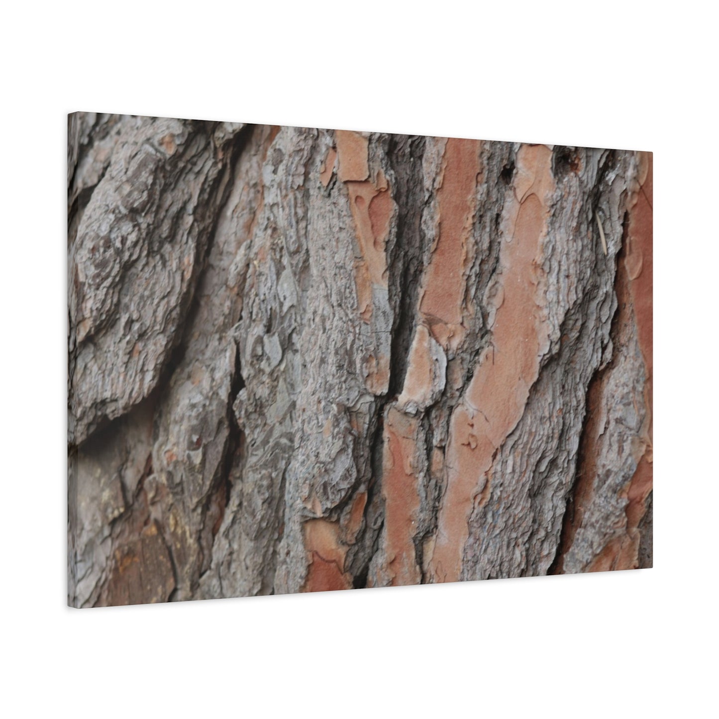 Fractal Landscape - Unique Frameless Canvas Wall Art - Art By Earth