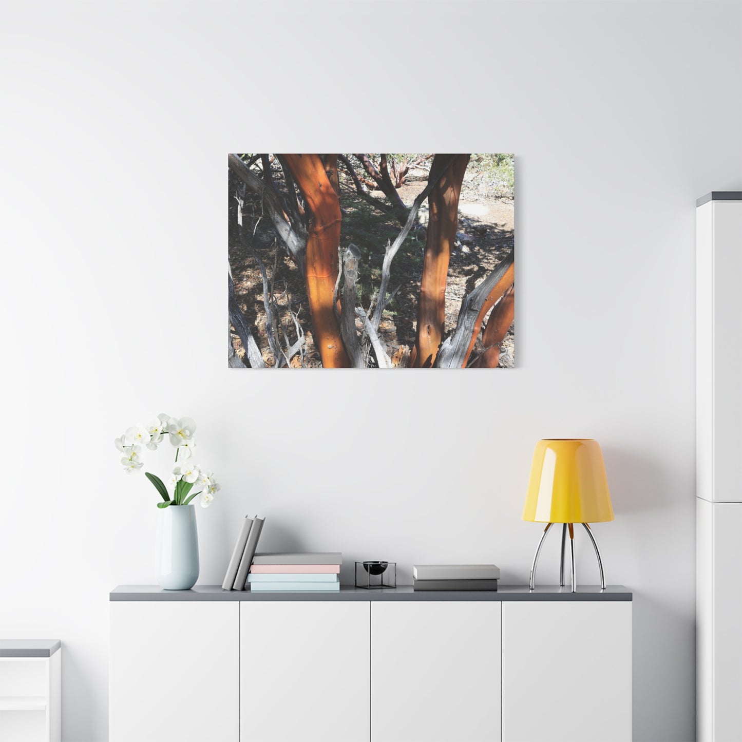 Peeling Bark of Ancient Trees - Unique Frameless Canvas Wall Art