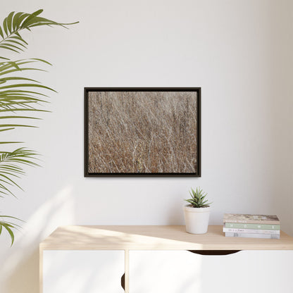 Dry Grass Symphony - Unique Stretched Canvas Wall Art - Art By Earth