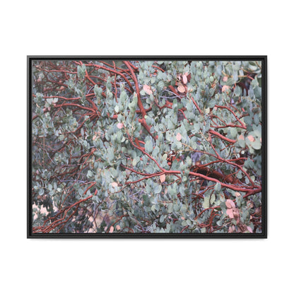 Whispers of Sage - Unique Stretched Canvas Wall Art - Art By Earth