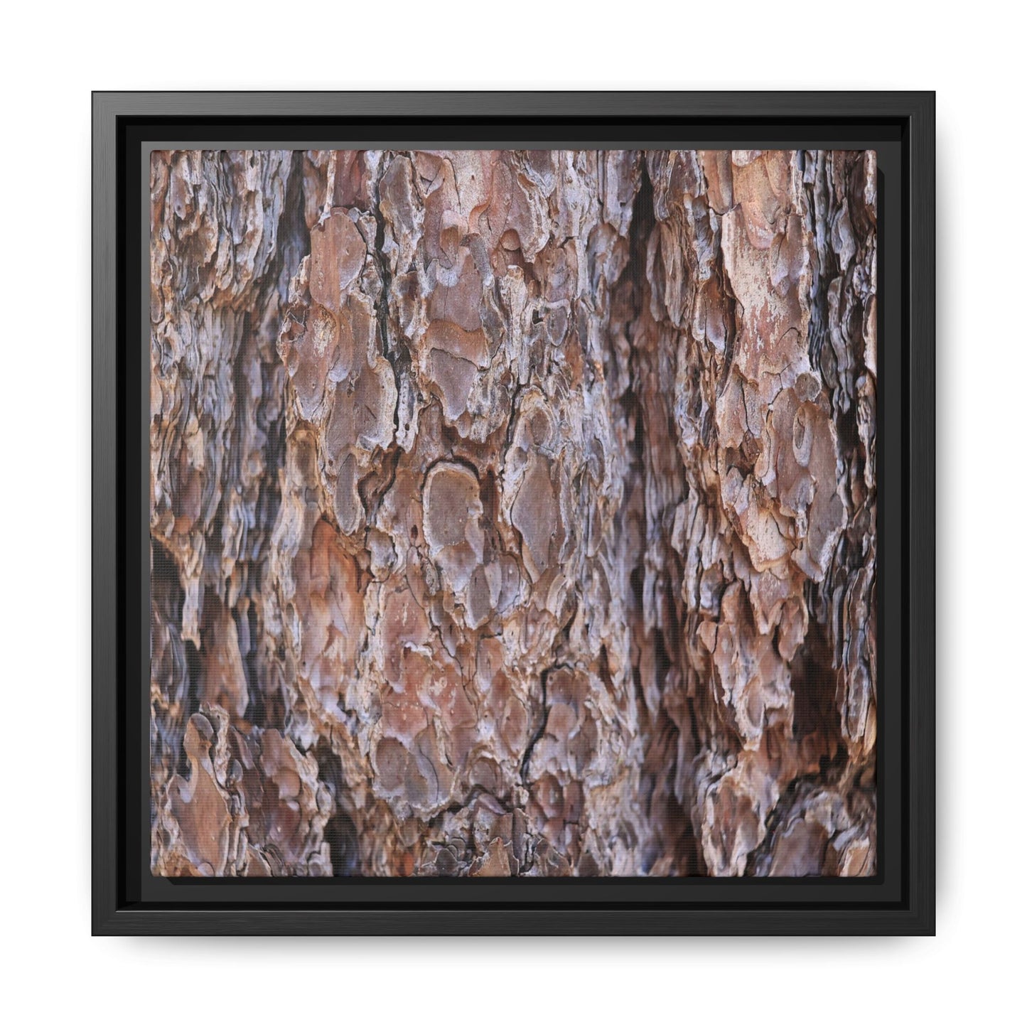 Woody Layers - Unique Stretched Canvas Wall Art - Art By Earth